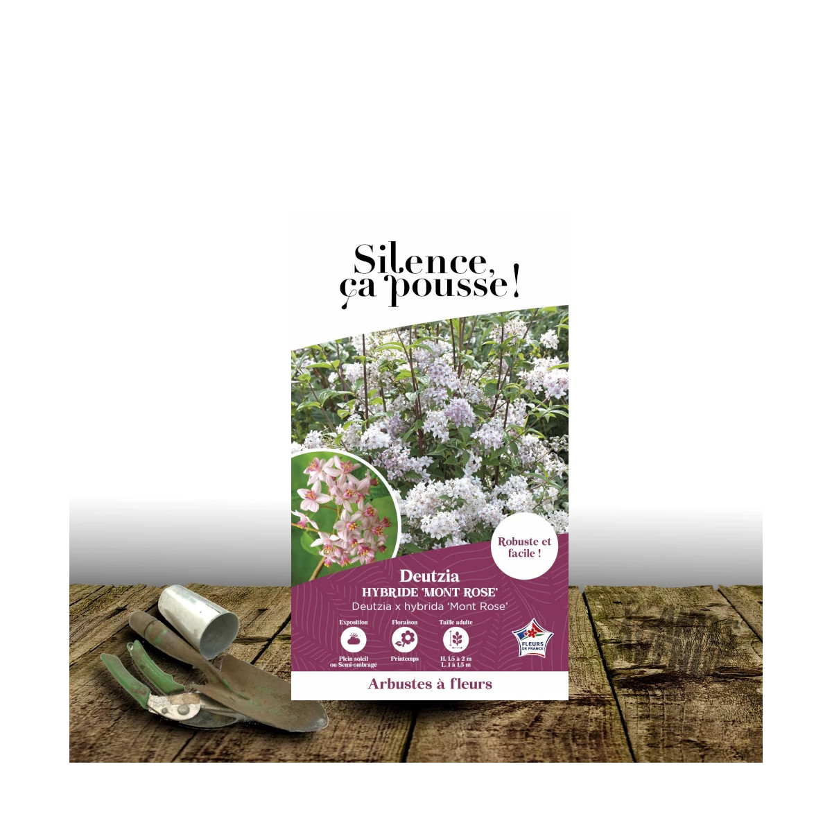 Deutzie Mont Rose - SILENCE, ça pousse !, Deutzia