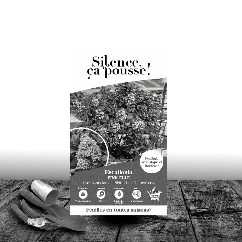 Escallonia Pink Elle® - SILENCE, ça pousse !