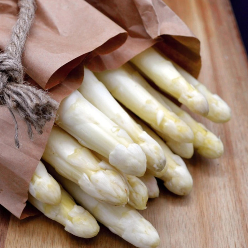 Asperge d'Argenteuil Robbems