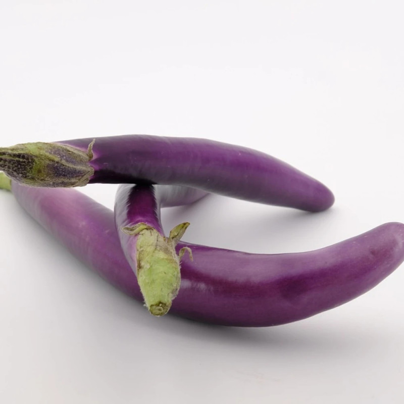 Plant d'aubergine Mini Violet Knight F1