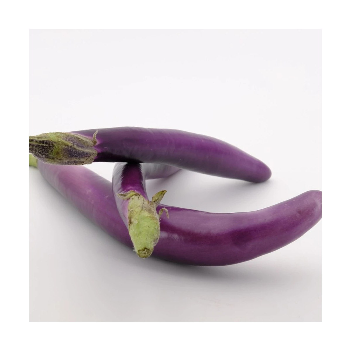 Plant d'aubergine Mini Violet Knight F1 Plant d'aubergine Mini Violet Knight F1