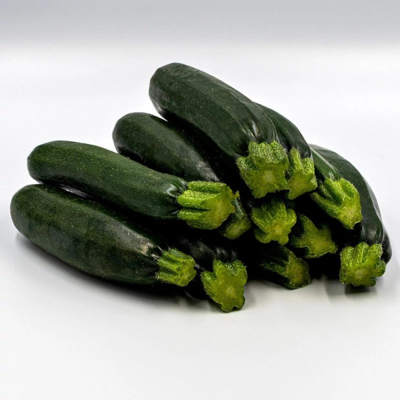 Plant de Courgette Sure Thing HF1