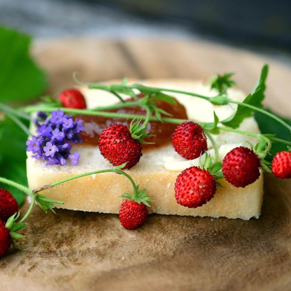 Graines de fraisier des bois - - Sans traitement - Vilmorin