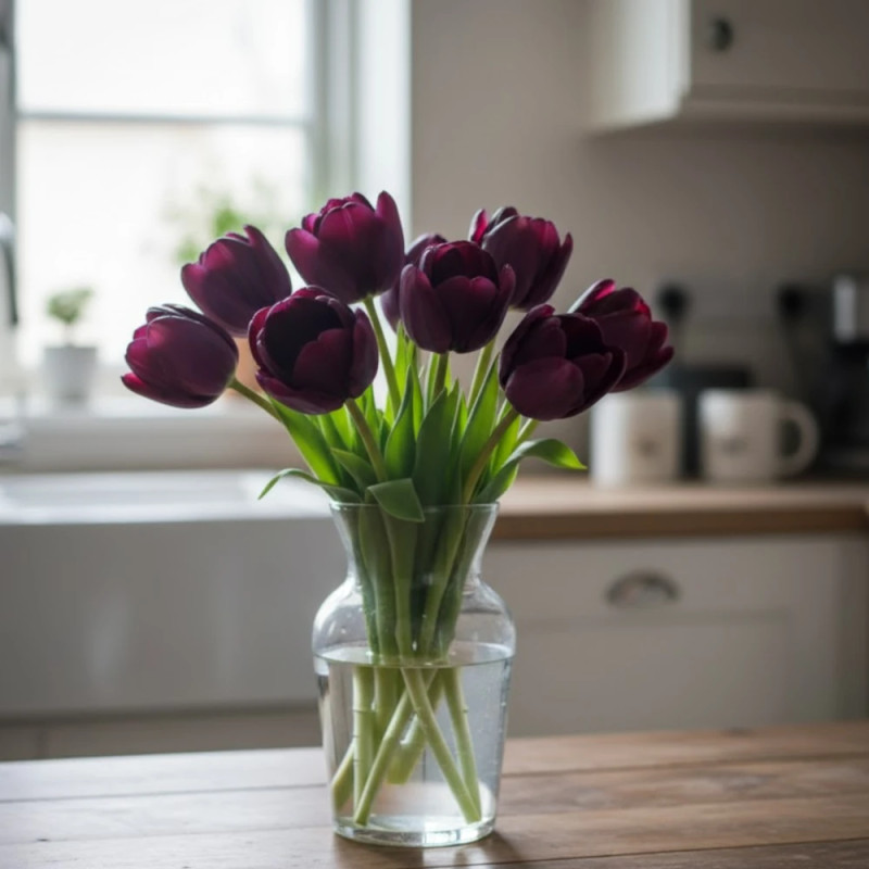 Bulbe de Tulipe double tardive Black Hero
