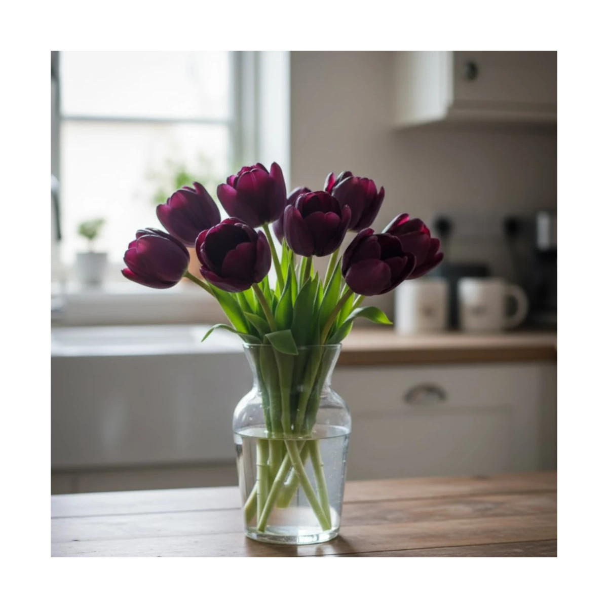 Bulbe de Tulipe double tardive Black Hero Bulbe de Tulipe double tardive Black Hero