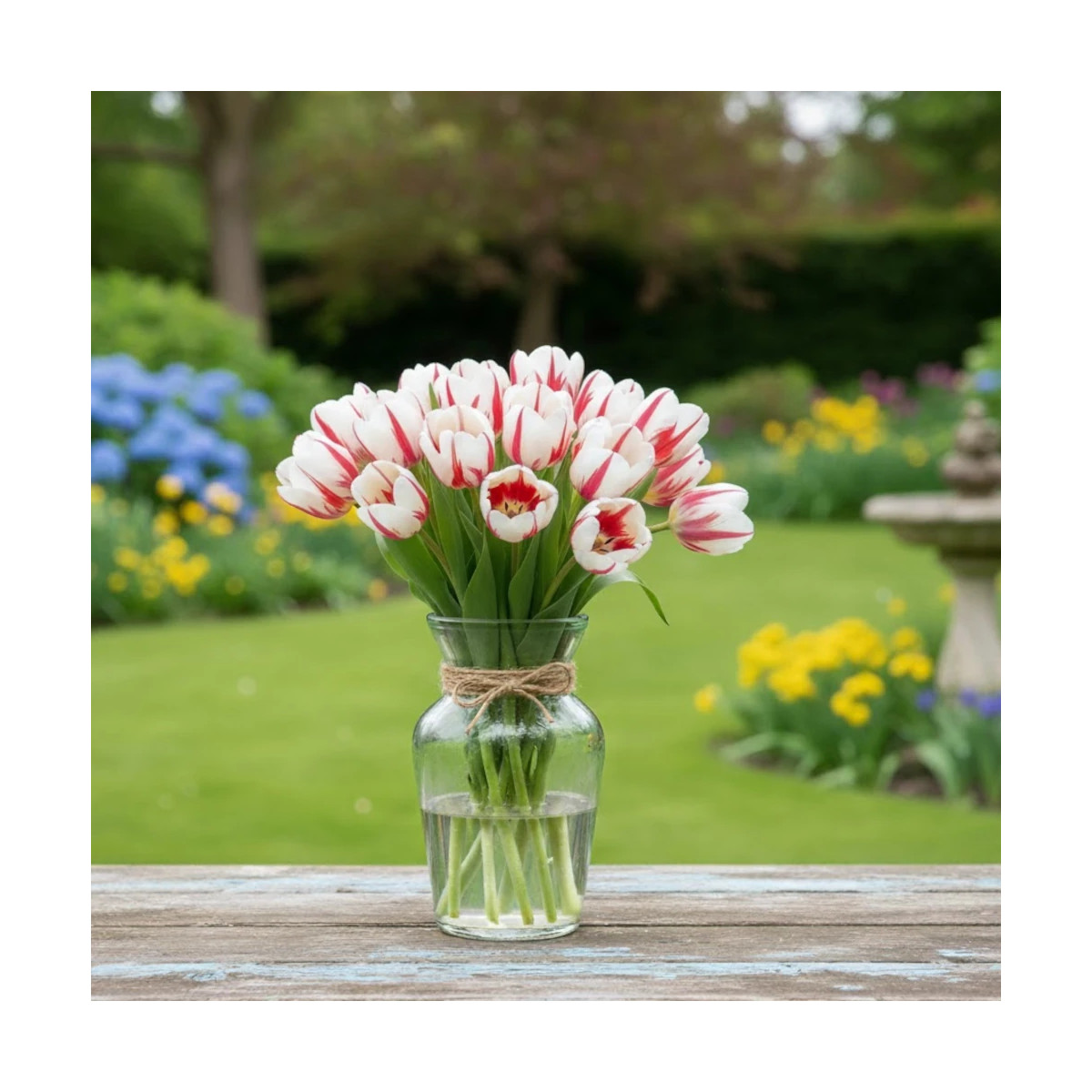 Bulbe de Tulipe Triomphe Happy Génération Bulbe de Tulipe Triomphe Happy Génération