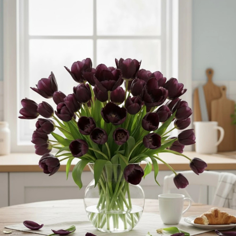 Bulbe de Tulipe Perroquet Black Parrot
