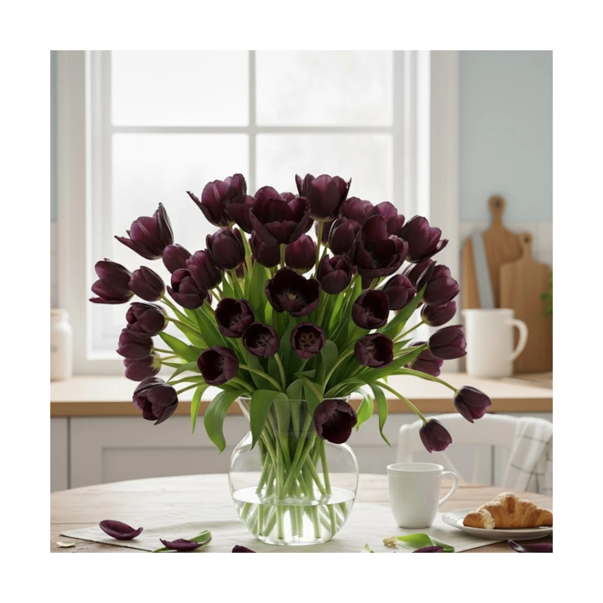 Bulbe de Tulipe Perroquet Black Parrot