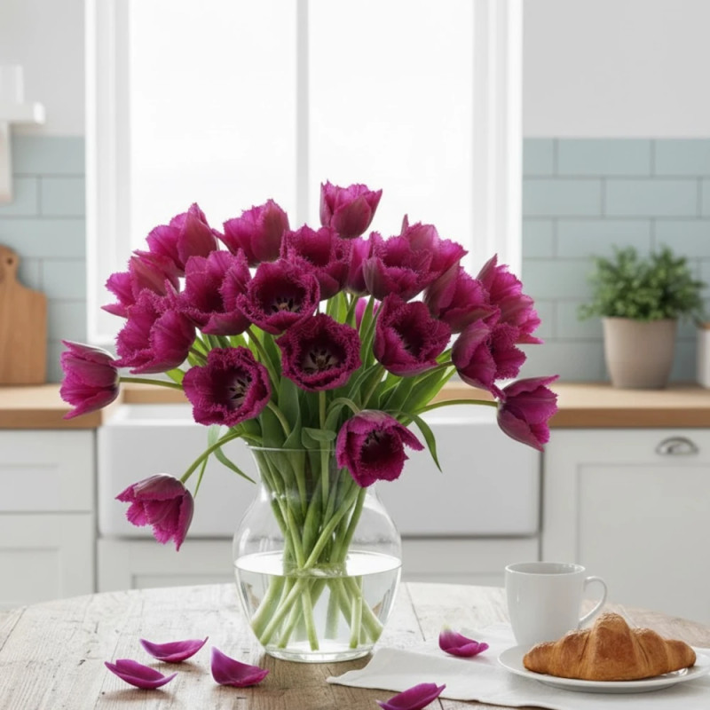 Bulbe de Tulipe Perroquet Parrot Prince