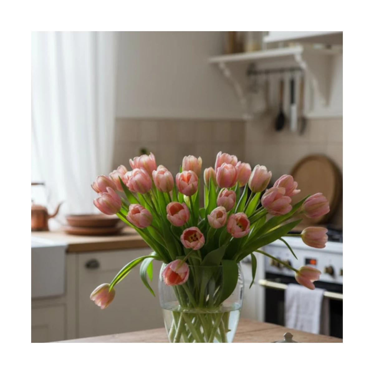 Bulbe de Tulipe viridiflora Groenland