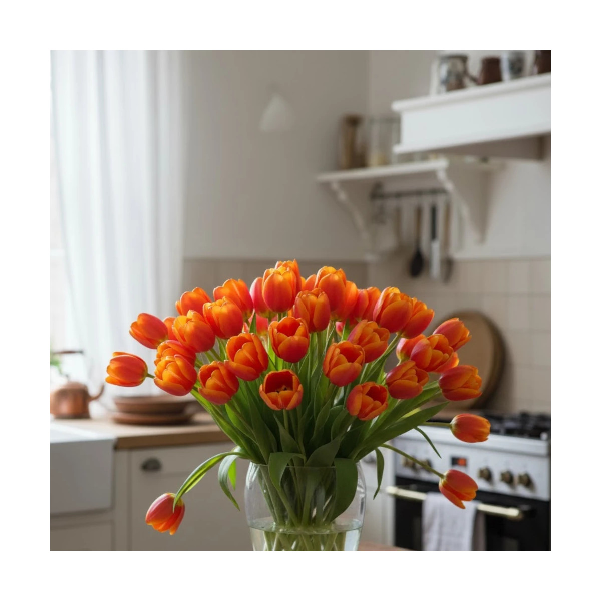 Bulbe de Tulipe Fleur de lis Ballerina