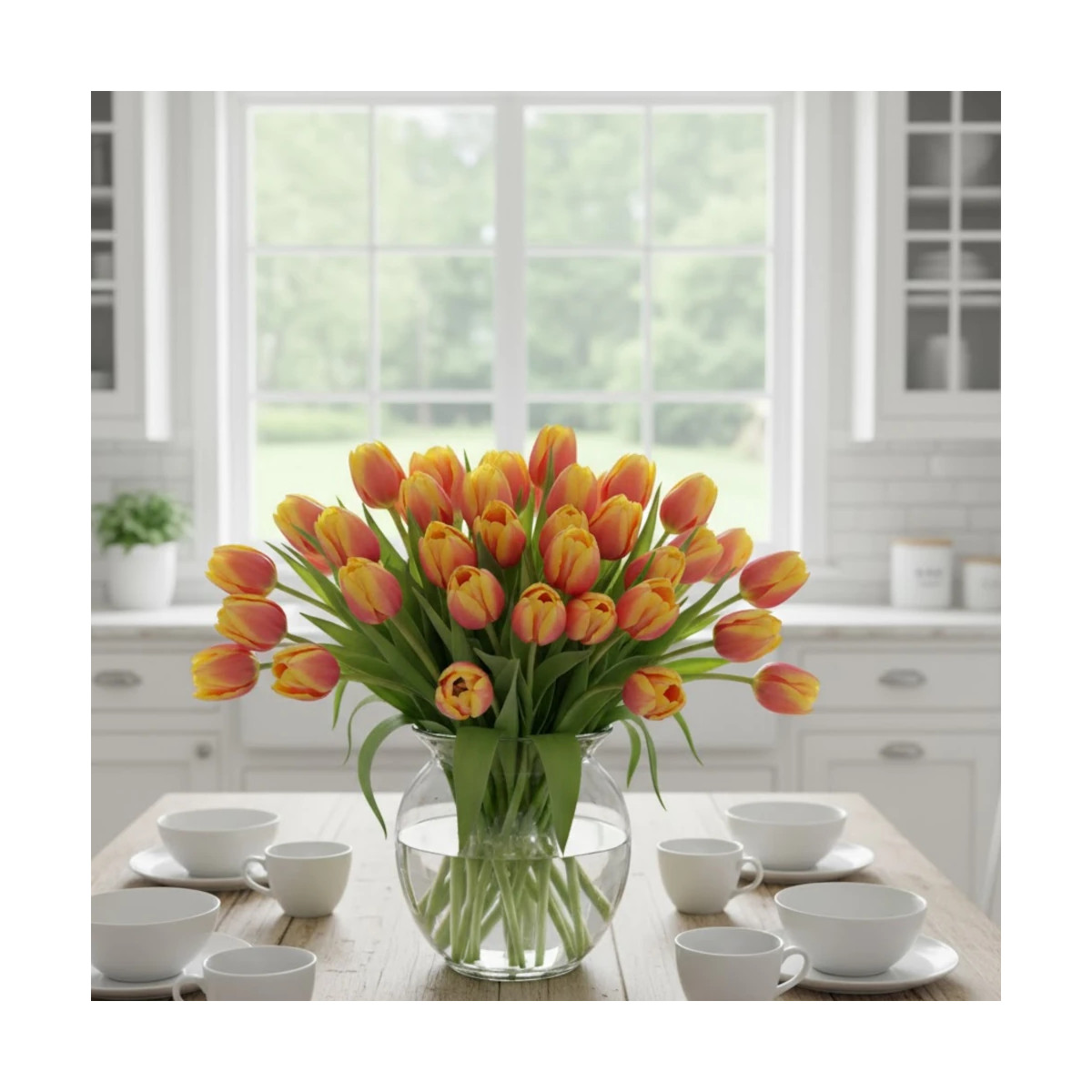 Bulbe de Tulipe Simple Tardive Blushing Lady