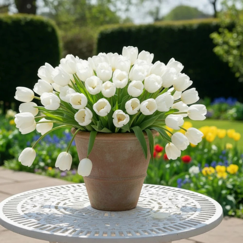 Bulbe de Tulipe Simple Tardive Clearwater