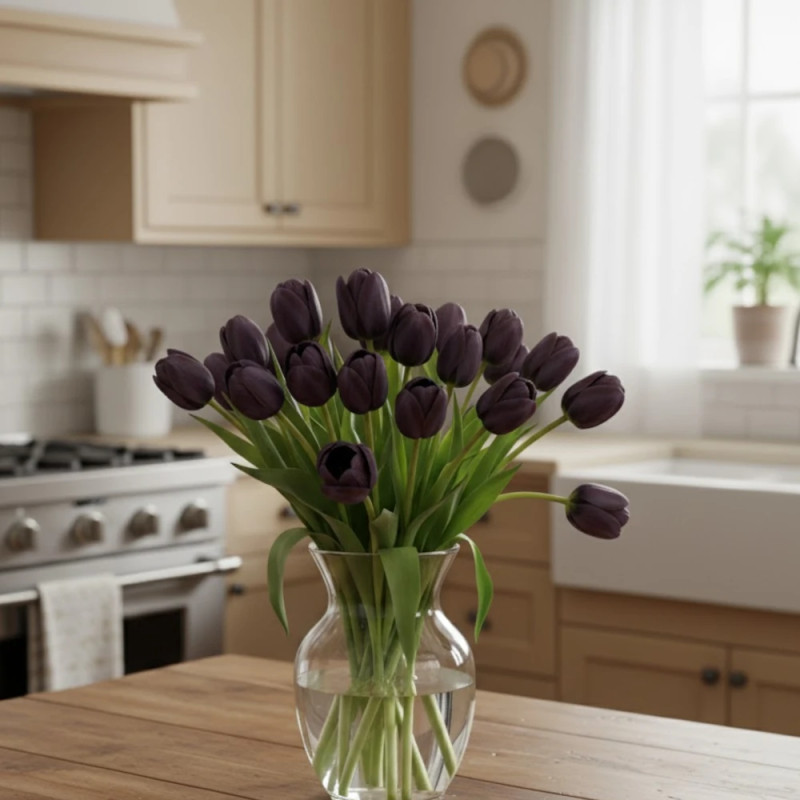 Bulbe de Tulipe Simple Tardive Reine de la Nuit