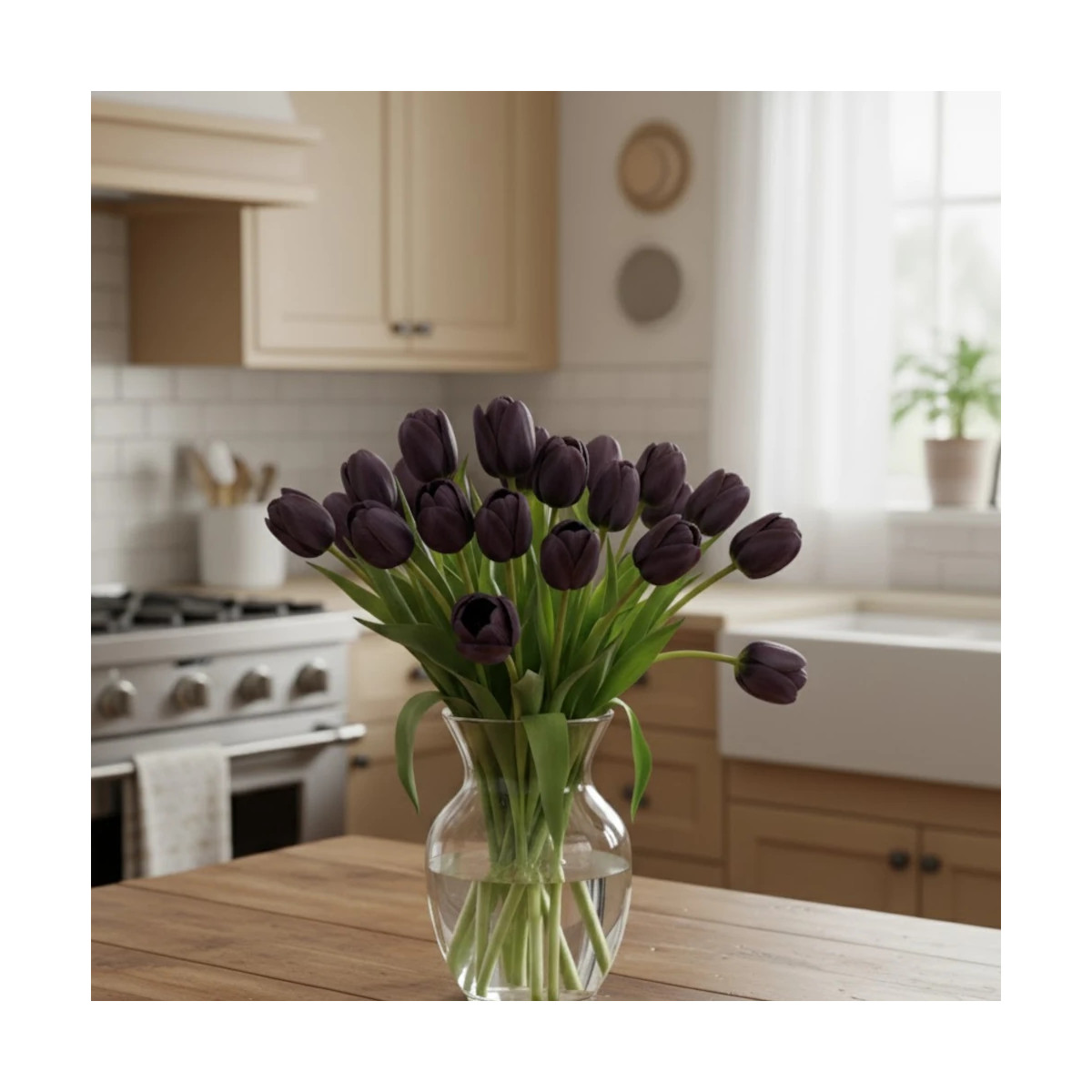 Bulbe de Tulipe Simple Tardive Reine de la Nuit