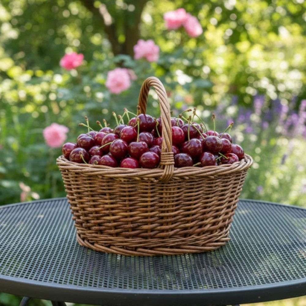 Cerisier Bigalise® 'Enjidel'