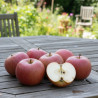 Pommier Rubinette®