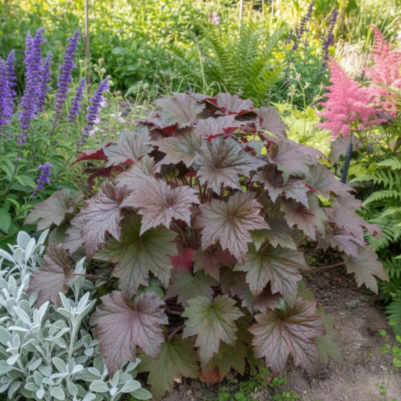 Heuchere Copper Dinosaur®