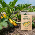 Graines de Courgette Mélange de couleur HF1 - Vilmorin