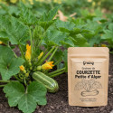Graines de Courgette Petite d'Alger