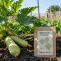 Graines de Courgette vegetable Spaghetti - Sans traitement - Silence ça Pousse !