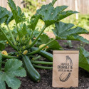 Graines de Courgette Verte de Milan - Sans traitement