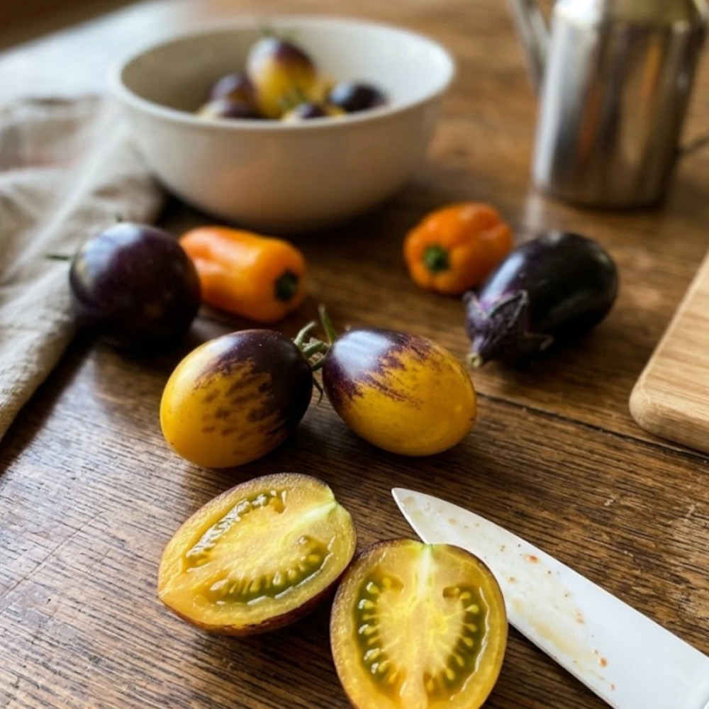 Plant de tomate Indigo Kumquat F1 type Cerise