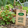 Graines de fraisier des bois - - Sans traitement - Vilmorin