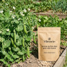 Graines de Pois Nain grain ridé Karinal - Sans traitement - Vilmorin