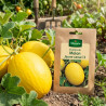 Graines de Melon Jaune canari 3 - Vilmorin