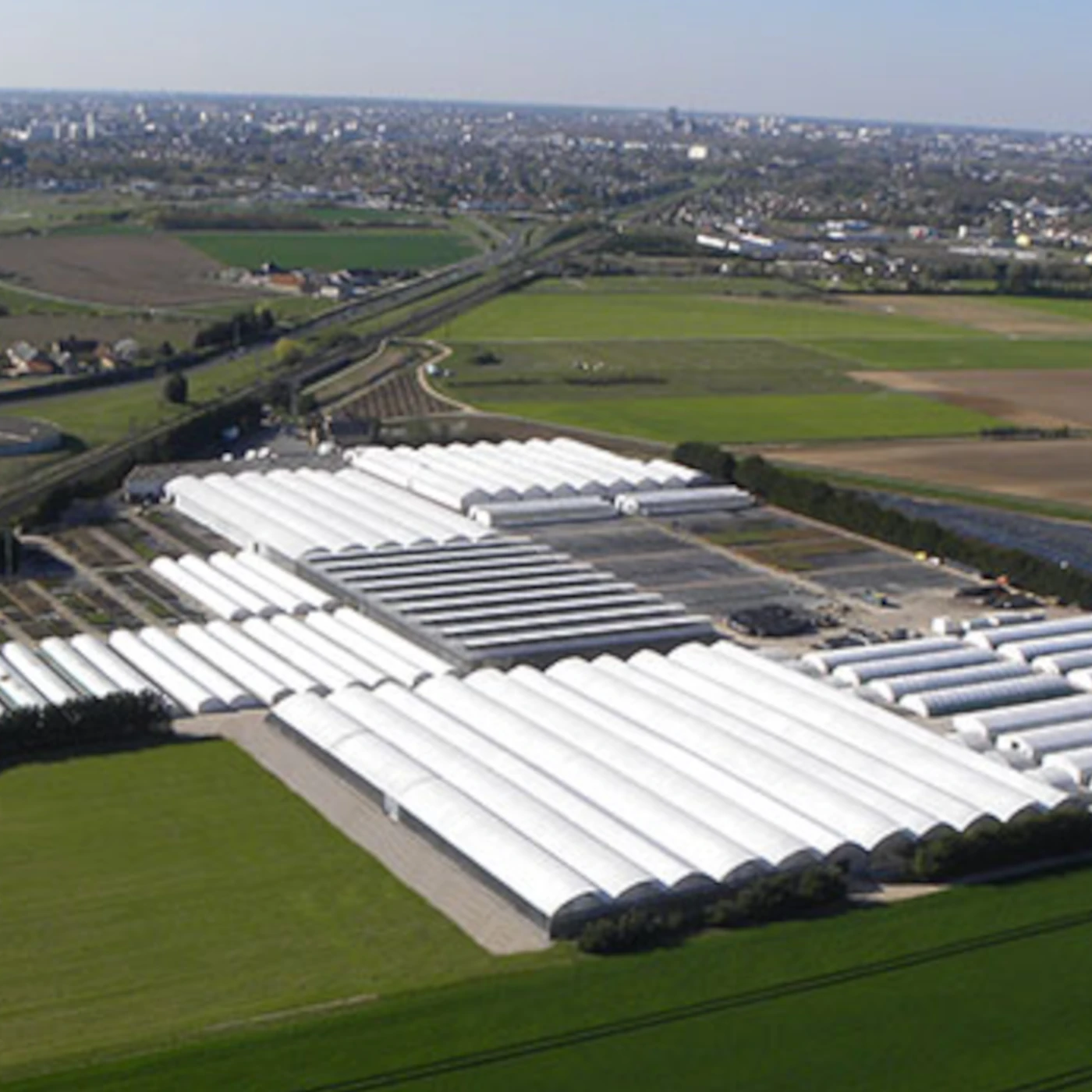 Jeune pousse et avenir du végétal durable chez Plantes Avenue