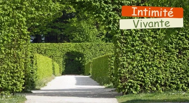 Créez votre intimité instantanée : la haie parfaite commence ici.