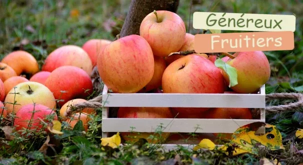 Les arbres fruitiers : la meilleure façon de manger des fruits frais.