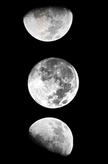 Jardinez avec la lune en février