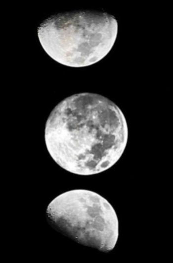 Jardinez avec la lune en mai 2025