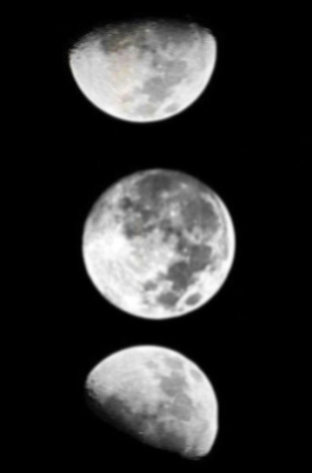 Jardinez avec la lune en septembre 2025