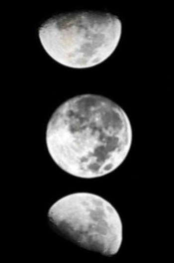 Jardinez avec la lune en octobre 2025