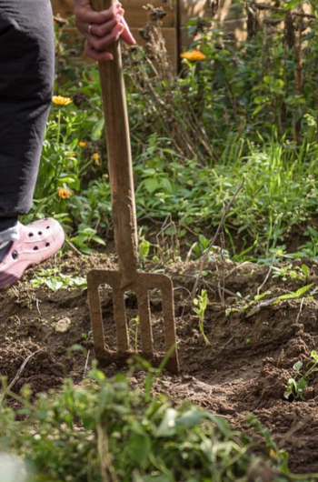 Bêchage : Une Pratique de Jardinage, Bonne ou Mauvaise Idée ?